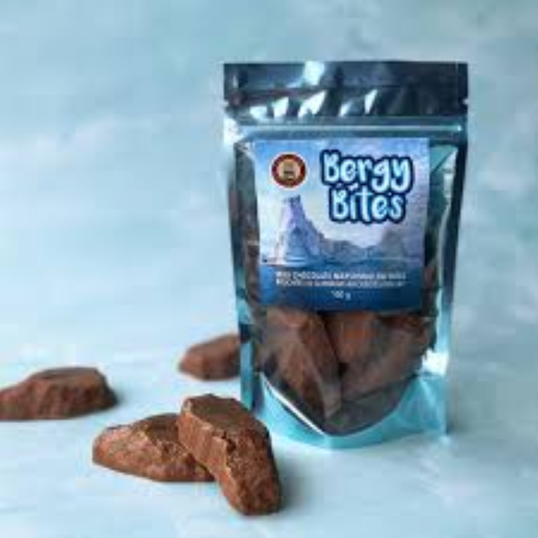 BERGEN BITES CHOCOLATE CHIP 118G